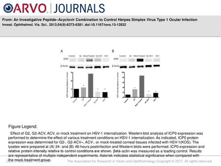 From: An Investigative Peptide–Acyclovir Combination to Control Herpes Simplex Virus Type 1 Ocular Infection Invest. Ophthalmol. Vis. Sci.. 2013;54(9):6373-6381.