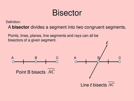 Bisector A bisector divides a segment into two congruent segments. l