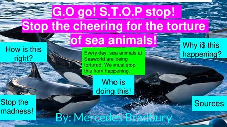 Stop the cheering for the torture of sea animals!