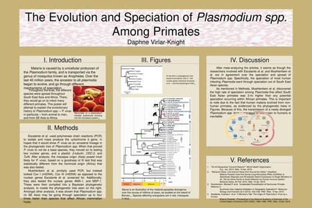 The Evolution and Speciation of Plasmodium spp. Among Primates