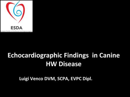 Echocardiographic Findings in Canine HW Disease