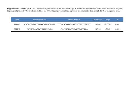 Gene Primer Forward Primer Reverse Eficiency (%) Slope R2