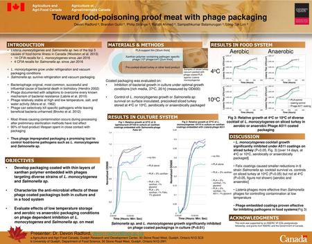 Toward food-poisoning proof meat with phage packaging