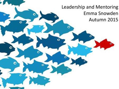 Leadership and Mentoring