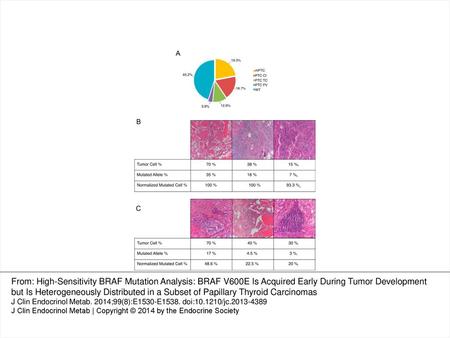 Figure 1. BRAF V600E mutation analysis in PTC