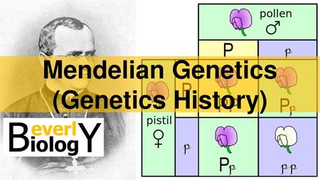 Mendelian Genetics (Genetics History)