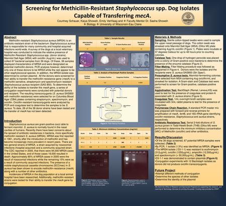 Screening for Methicillin-Resistant Staphylococcus spp