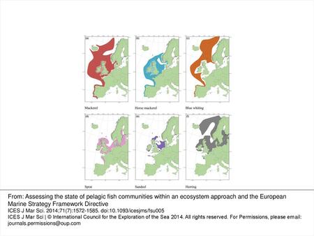 Figure 1. Distribution of pelagic fish stocks.