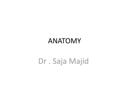 ANATOMY Dr . Saja Majid.