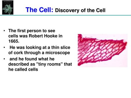 The Cell: Discovery of the Cell