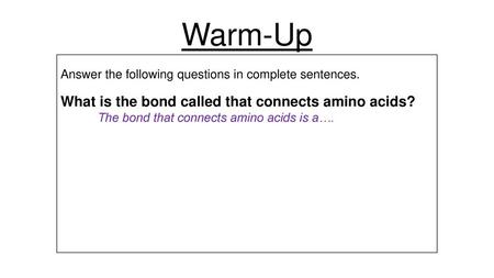 Warm-Up Answer the following questions in complete sentences.