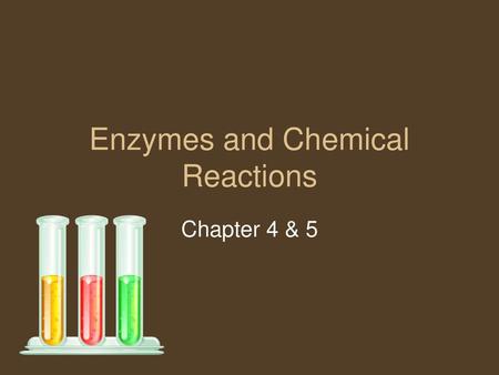 Enzymes and Chemical Reactions