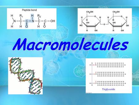 Macromolecules.