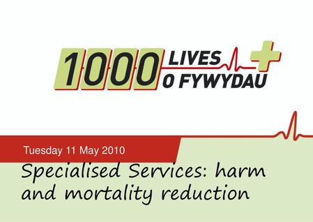 Specialised Services: harm and mortality reduction