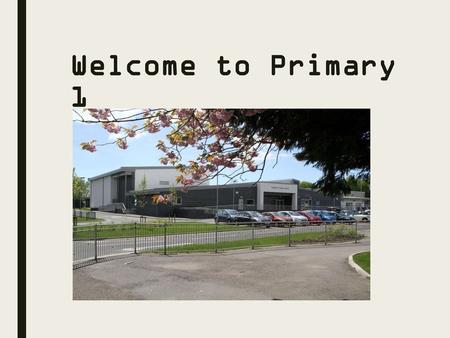 Welcome to Primary 1.