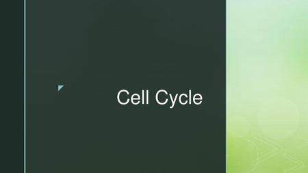 Cell Cycle.