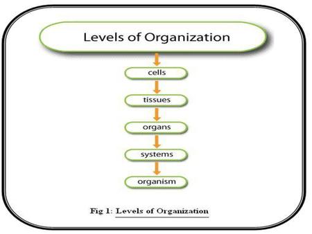 Organ System There are 11 organ systems that work in harmony make up the Human Body.