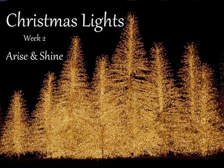 Christmas Lights Week 2 Arise & Shine.