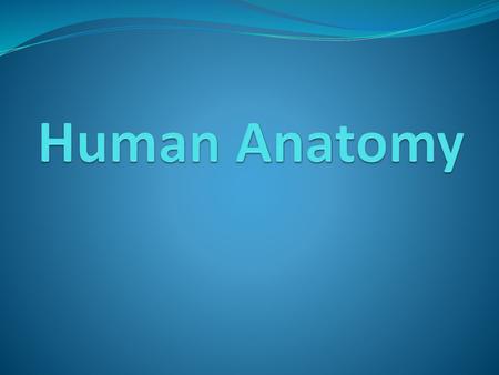 Human Anatomy.