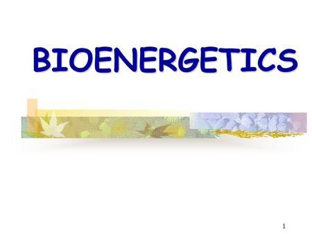 BIOENERGETICS.