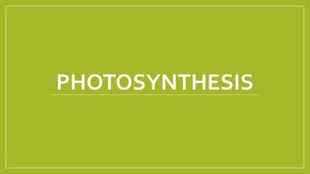 Photosynthesis.