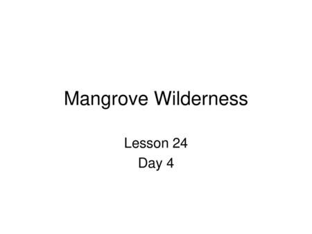 Mangrove Wilderness Lesson 24 Day 4.