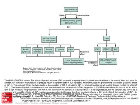 The GHRH/GH/IGF-1 system