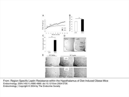 Fig. 1 Severe leptin resistance in the ARC of mice after 16 wk on HFD