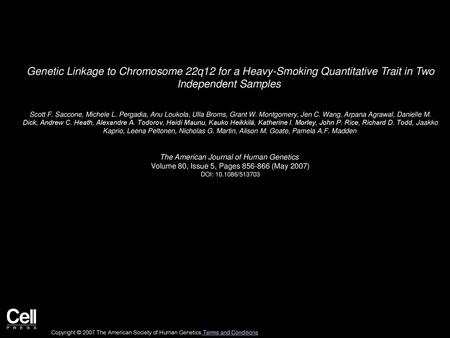 Genetic Linkage to Chromosome 22q12 for a Heavy-Smoking Quantitative Trait in Two Independent Samples  Scott F. Saccone, Michele L. Pergadia, Anu Loukola,