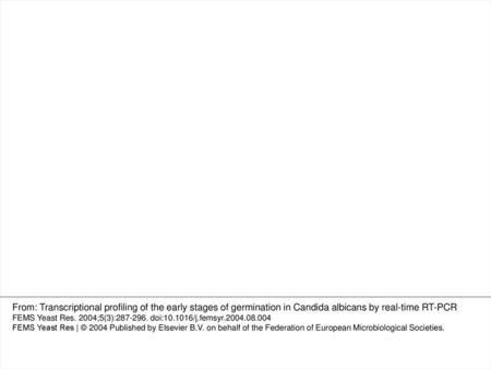 9 Relative expression of CGR1 (a), CaMSI3 (b), EFG1 (c), NRG1 (d), and TUP1 (e) in JCM9061, CAF2-1, and CAI4. Real-time RT-PCR for each gene was performed.