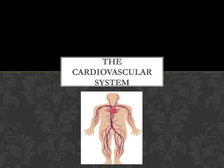 THE CARDIOVASCULAR SYSTEM