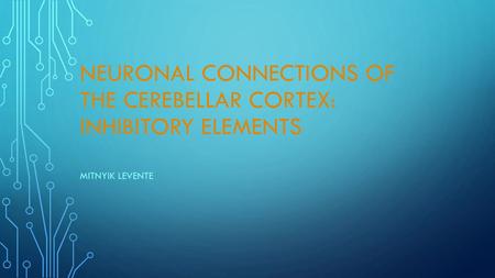 Neuronal connections of the cerebellar cortex: inhibitory elements