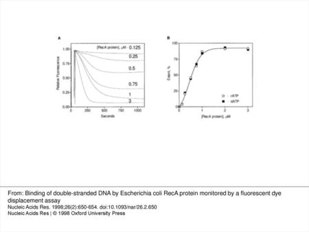 Figure 1 Dependence of DAPI displacement on RecA protein concentration