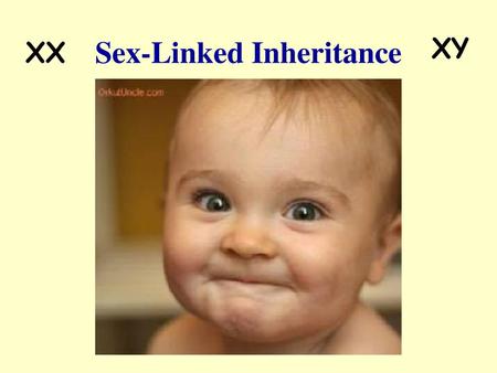 Sex-Linked Inheritance