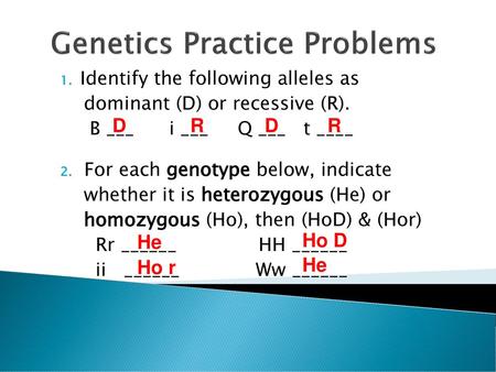 Genetics Practice Problems