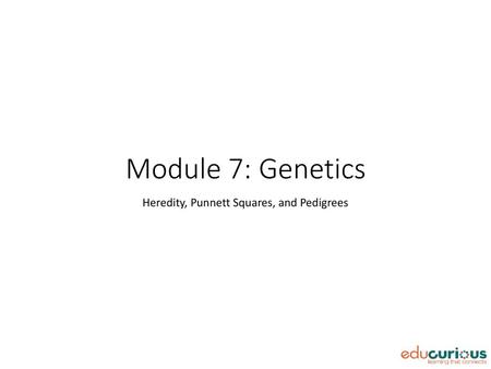 Heredity, Punnett Squares, and Pedigrees