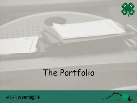 The Portfolio.