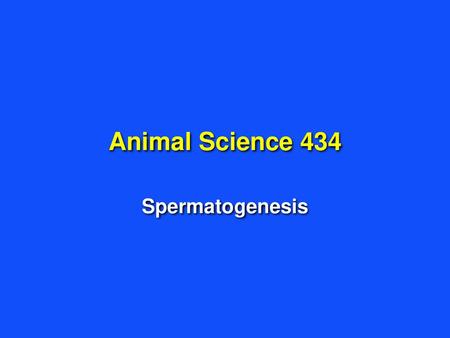 Animal Science 434 Spermatogenesis.