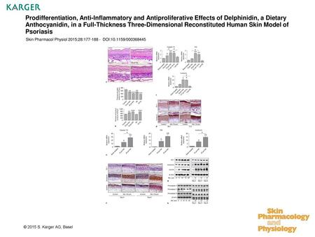 Prodifferentiation, Anti-Inflammatory and Antiproliferative Effects of Delphinidin, a Dietary Anthocyanidin, in a Full-Thickness Three-Dimensional Reconstituted.