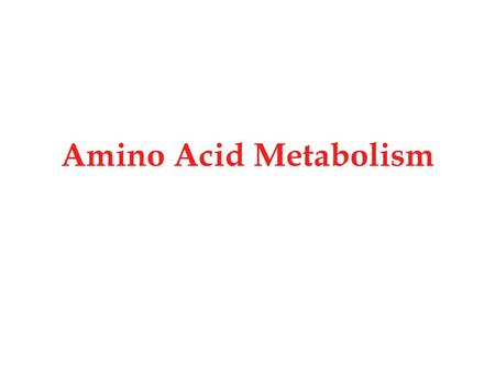 Amino Acid Metabolism.