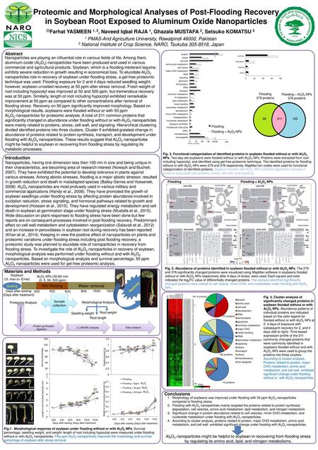 Proteomic and Morphological Analyses of Post-Flooding Recovery in Soybean Root Exposed to Aluminum Oxide Nanoparticles ○Farhat YASMEEN 1, 2, Naveed Iqbal.