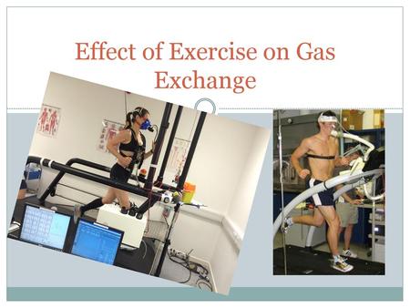 Effect of Exercise on Gas Exchange