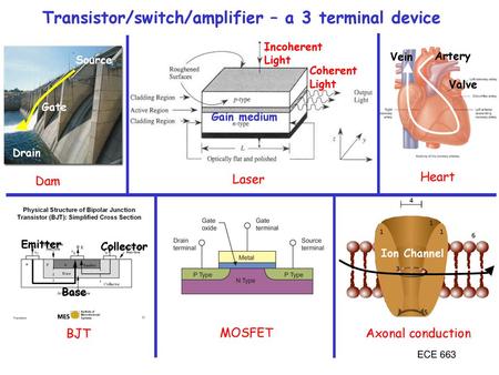 Transistor/switch/amplifier – a 3 terminal device