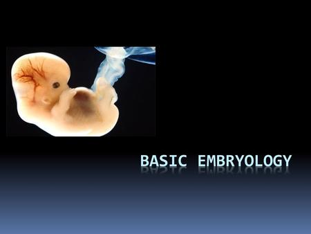 Basic Embryology.