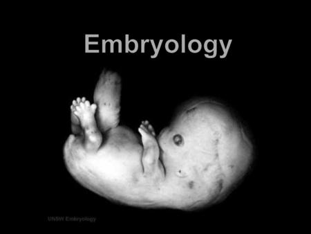 Embryology.