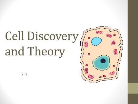 Cell Discovery and Theory