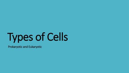 Prokaryotic and Eukaryotic