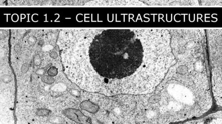 TOPIC 1.2 – CELL ULTRASTRUCTURES