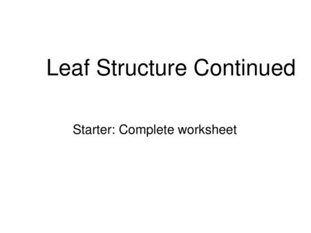 Leaf Structure Continued