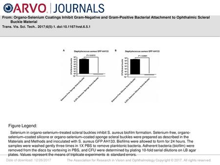 From: Organo-Selenium Coatings Inhibit Gram-Negative and Gram-Positive Bacterial Attachment to Ophthalmic Scleral Buckle Material Trans. Vis. Sci. Tech..